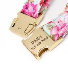 ID Tag Collars With Free Engraving for Small Pets