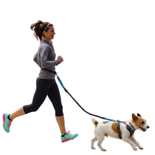 Hands Free Bungee Dog Leash