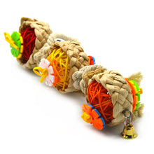 Parrot Shredder Toy
