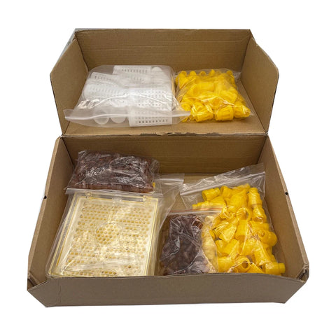 Rearing Kit Supplies For Beekeeper