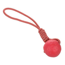 Rubber Ball Bite-Resistant Dog Toy