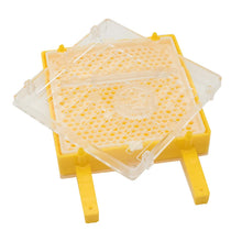 Rearing Kit Supplies For Beekeeper
