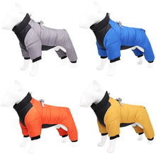 Winter Waterproof Dog Jacket for Small & Medium Dogs