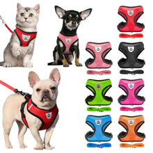 mesh dog leash in used with all the colours available