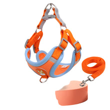orange dog harness on a white background
