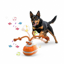 Peppy Pet Motion-Activated Rolling Ball