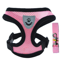 pink mesh dog leash