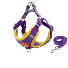 purple dog harness on a white background