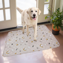 dog coming inside the house in a dog pee pad