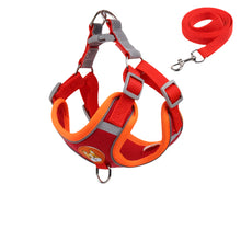 red dog harness on a white background
