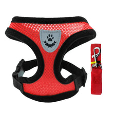 red mesh dog leash