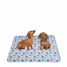 Reusable Pee Pad For Training Pets