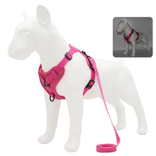 No Pull Dog Harness Set