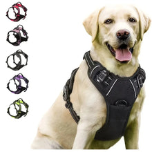 Big Vests Leash For Pets