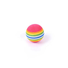 Colorful Cat Teaser Toy