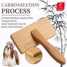 Pet Slicker Brush for Grooming