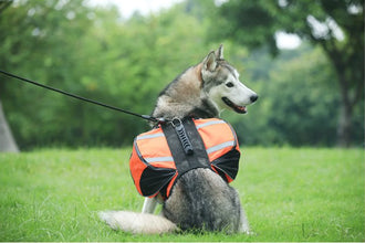 Saddle Bag Pet Harness Carrier