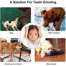 Pet Food Treat Feeder Toy Ball