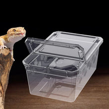 Transparent Vivarium Breeding Box
