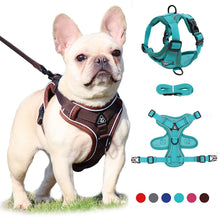 No Pull Dog Harness Set