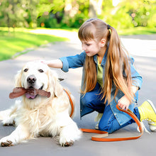 Super Tough Nylon Made Chew Toy for Dog