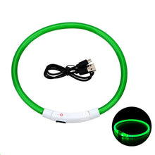 USB Rechargeable Luminous Collar