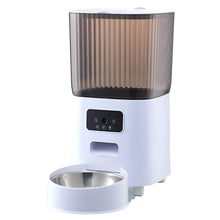 automatic feeder