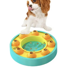 Slow Feeder Puzzle Toy for Pets
