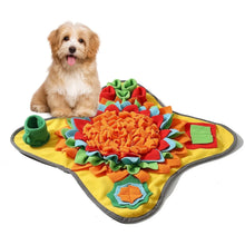 Durable Colourful Pet Snuffle Mat