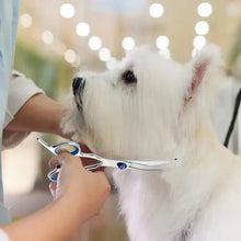 Round-Tip Pet Grooming Scissors