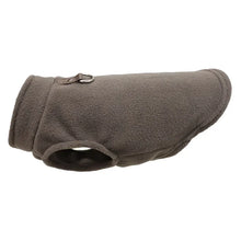 Winter Pet Jacket with D-Ring