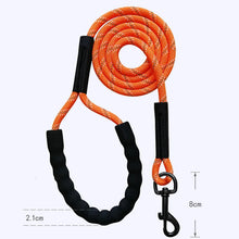 Reflective Dog Leash for Training and Walking