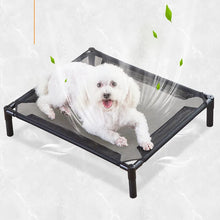 Elevated Folding Pet Camping Bed