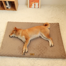 Orthopaedic Foam Dog Bed
