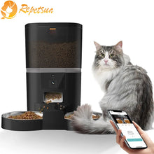 4L WiFi Automatic Feeder With Video Camera