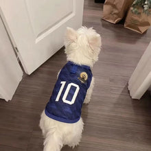 Breathable Dog Football Vest