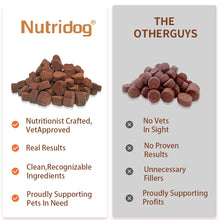 Hip and Joint Supplement for Dogs