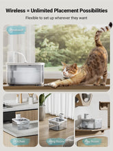 2.5L Automatic Stainless Steel Water Fountain for Cats