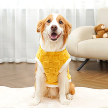 Big Dog Pullover Vest