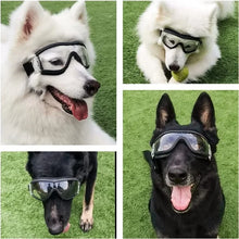 Cycling Dog Googles