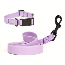 Adjustable Dog Collar and Leash Set for Small Medium Large Dogs