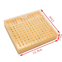Bee Queen Rearing Kit 1-Set