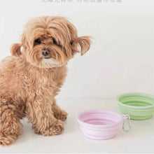 Pet Silicone Folding Bowls