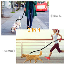 Cani-Hiking Bungee Leash