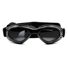 Pets Wear Sunglasses