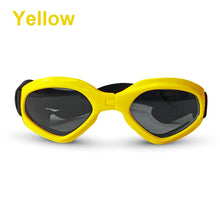 Fashionable Sunglasses for Pets
