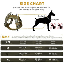 No-Pull Dog Harnessfor Medium & Large Dogs