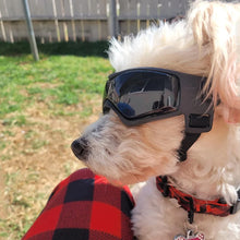 Pet Outdoor UV Protection Sunglasses