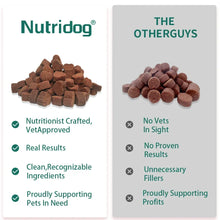 Allergy & Immune Support Chews for Dogs