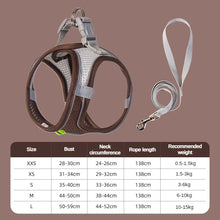 Adjustable Pet Harness and Lead Set